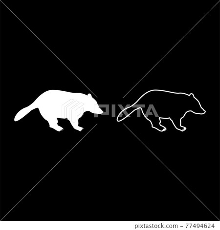 Badger animal wild Meles Taxus predatory mammal Badger animal wild Meles Taxus predatory mammal 77494624
