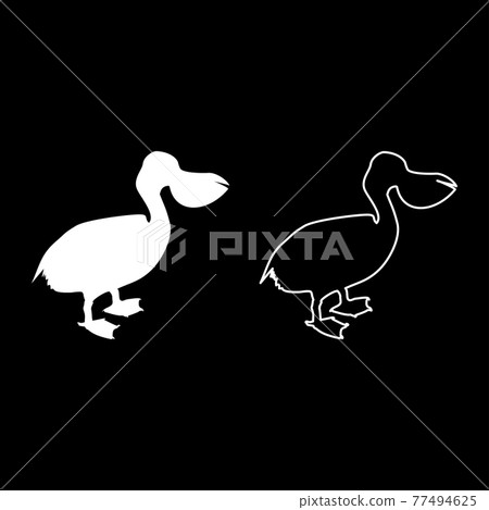Pelican bird Seabird Waterbird silhouette white Pelican bird Seabird Waterbird silhouette white 77494625