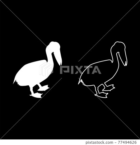 Pelican bird Seabird Waterbird silhouette white Pelican bird Seabird Waterbird silhouette white 77494626