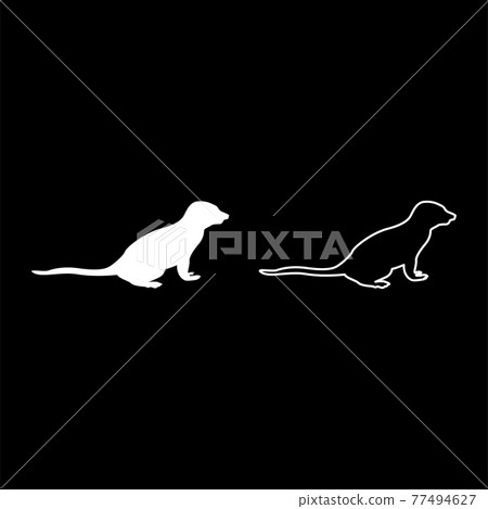 Meerkat in pose Suricata Suricatta silhouette Meerkat in pose Suricata Suricatta silhouette 77494627