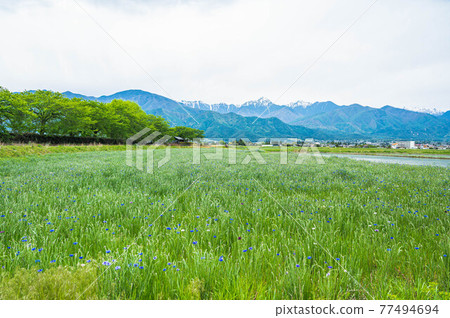 Meadow 和 Mt. Jonen Azumino Meadow 和 Mt. Jonen Azumino 77494694