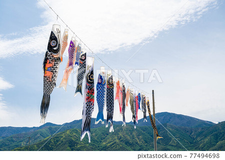 Side-by-side carp streamers 77494698