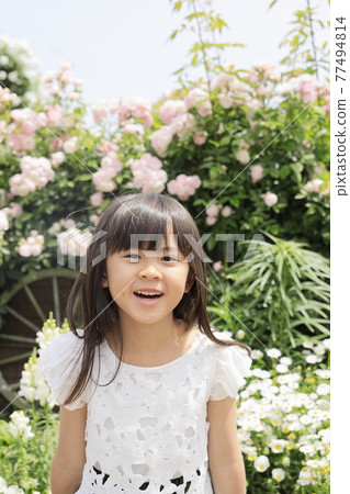 玫瑰園的小學生(6歲) 玫瑰園的小學生(6歲) 77494814