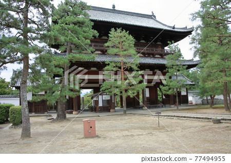 京都文庫吉 77494955