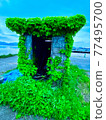 Hut 77495700