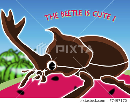 甲蟲和西瓜 77497170