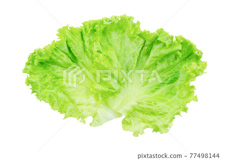 Lettuce. Salad leaf isolated on white background with clipping path Lettuce. Salad leaf isolated on white background with clipping path 77498144