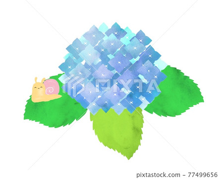 Hydrangea and snail blue Hydrangea and snail blue 77499656