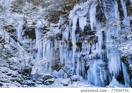 Ice pillar in Chichibu, Saitama Prefecture 77499756