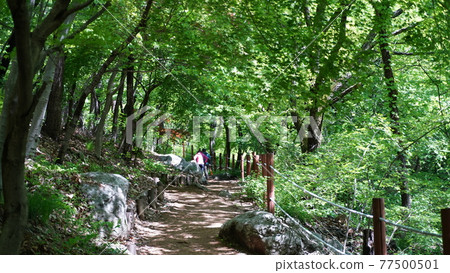 Scenery of Mt. Hakuun, Suwon, South Korea Scenery of Mt. Hakuun, Suwon, South Korea 77500501