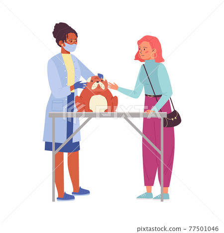 Woman showing her pet to veterinarian doctor, flat vector illustration isolated. 77501046