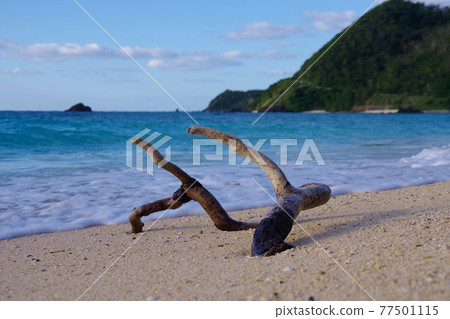 到達海灘的漂流木奄美大島度假村海灘 77501115