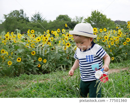 在夏日公園玩耍的蹣跚學步的孩子 77501360