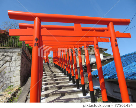 Simultaneous torii gate of Oshima Shrine Simultaneous torii gate of Oshima Shrine 77501454