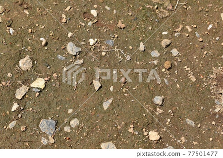 Ground Ground 77501477