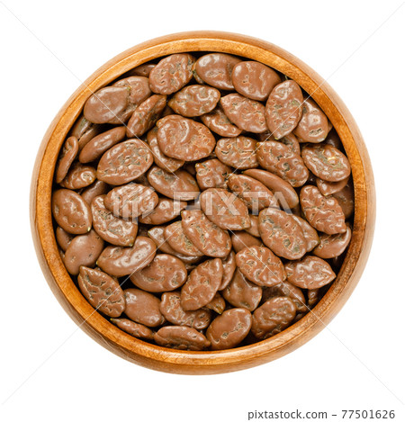 Roasted pumpkin seeds, coated with milk chocolate, in a wooden bowl. Snack of flat summer squash seeds, lightly roasted, and covered with chocolate. Close-up, from above, over white, macro food photo. Roasted pumpkin seeds, coated with milk chocolate, in a wooden bowl. Snack of flat summer squash seeds, lightly roasted, and covered with chocolate. Close-up, from above, over white, macro food photo. 77501626