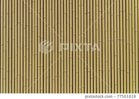 Bamboo fence 77501819
