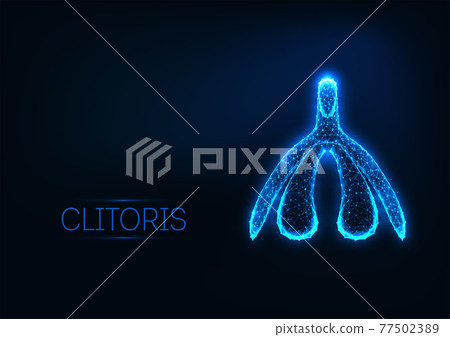 Futuristic glowing low polygonal female organ clitoris isolated on dark blue Futuristic glowing low polygonal female organ clitoris isolated on dark blue 77502389