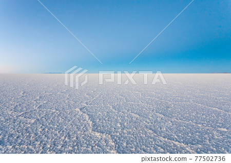Salar de Uyuni, Bolivia 77502736
