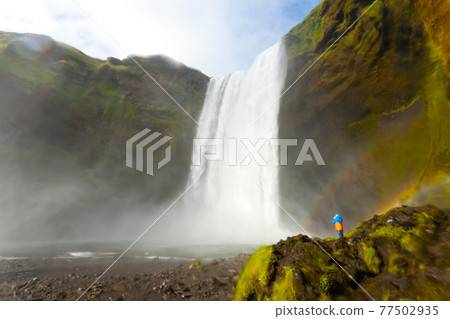 Skogafoss falls in summer season view, Iceland 77502935