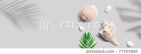 Summer concept with seashells and a palm leaf Summer concept with seashells and a palm leaf 77503860