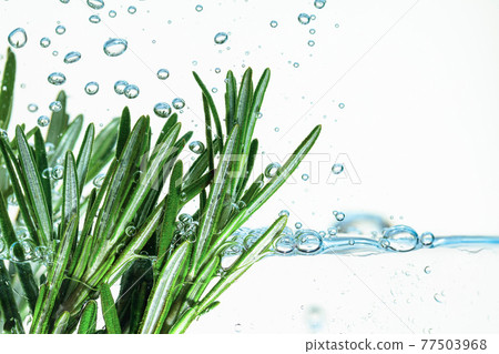 Rosemary bunch in water with bubbles. Rosemary bunch in water with bubbles. 77503968
