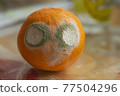 Mouldy orange (face with eyes) on a blurry background 77504296