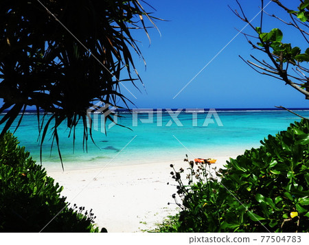 Red grave beach Red grave beach 77504783