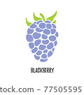 Vector. Blackberry fruit. Isolated modern sweet berry. 77505595