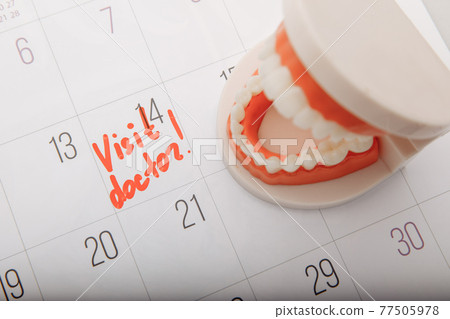 Model of jaw on calendar with mark. dental care concept 77505978
