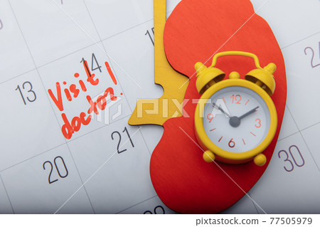 Model of kidney with yellow alarm clock on calendar with mark. Healthcare concept Model of kidney with yellow alarm clock on calendar with mark. Healthcare concept 77505979