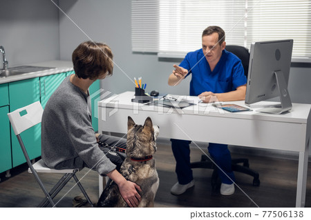 Vet doctor examining a beautiful husky dog in his office 77506138