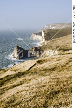 Steep, white cliffs of Lulworth Cove on the Jurassic coast from windy hills Steep, white cliffs of Lulworth Cove on the Jurassic coast from windy hills 77507009