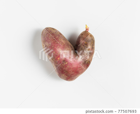 Trendy ugly food concept. Funny potatoes in the shape of a heart on a white background. Vegetable with a strange shape. Trendy ugly food concept. Funny potatoes in the shape of a heart on a white background. Vegetable with a strange shape. 77507693