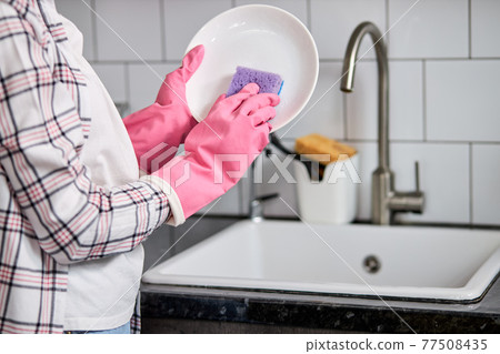 cropped female hands in pink protective rubber gloves washing white plate with purple cleaning sponge cropped female hands in pink protective rubber gloves washing white plate with purple cleaning sponge 77508435