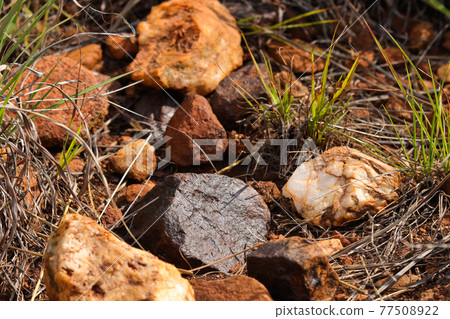 Natural Magnetite Iron Ore Rock Deposit With Quartz Natural Magnetite Iron Ore Rock Deposit With Quartz 77508922