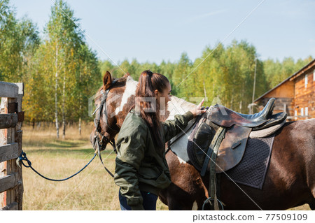 Cute girl gets ready for a ride on a horse and saddles it on an autumn day 77509109