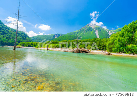 夏季梓川的上高地[長野縣] 77509618