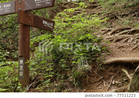 Information sign indicating the summit of Mt. Raiden [Ome City, Tokyo, Ome Hill Hiking Course] 77511223