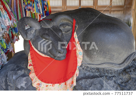 [Sumida-ku, Tokyo] Ushijima Shrine's stroked cow 77511737