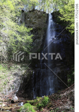 Hirakawa Immovable Falls 77512306