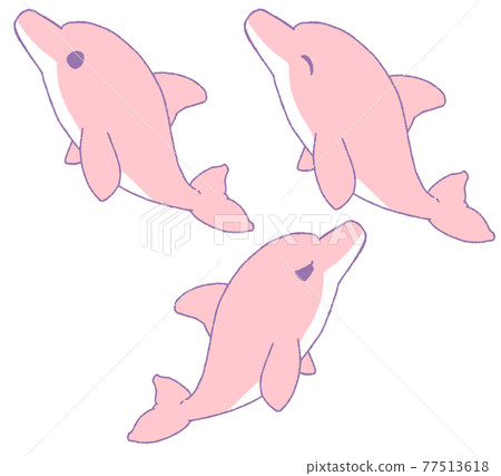 海豚的3種面部表情（紅色） 77513618