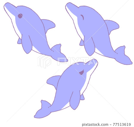 海豚的3種面部表情（藍色） 77513619