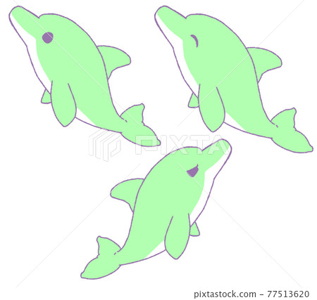 海豚的3種面部表情（綠色） 77513620