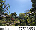 京都善乘寺庭園 77513959