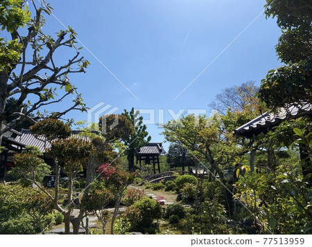 京都善乘寺庭園 京都善乘寺庭園 77513959
