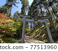京都Saruimaru神社 77513960