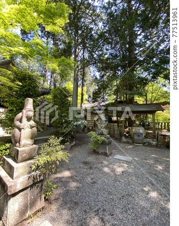 京都Saruimaru神社 京都Saruimaru神社 77513961
