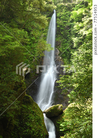 Kasagi Valley Kasagi Fudotaki (Otaki) [Taiki-cho, Watarai-gun, Mie Prefecture] 77514953
