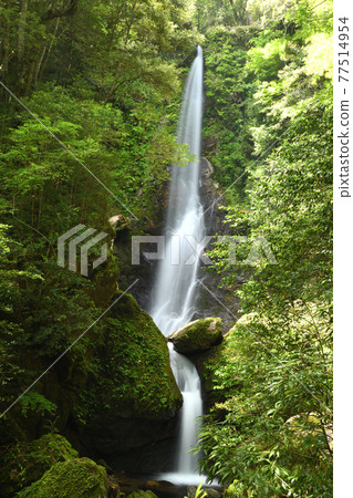 Kasagi Valley Kasagi Fudotaki (Otaki) [三重縣 Watarai 郡大樹町] 77514954